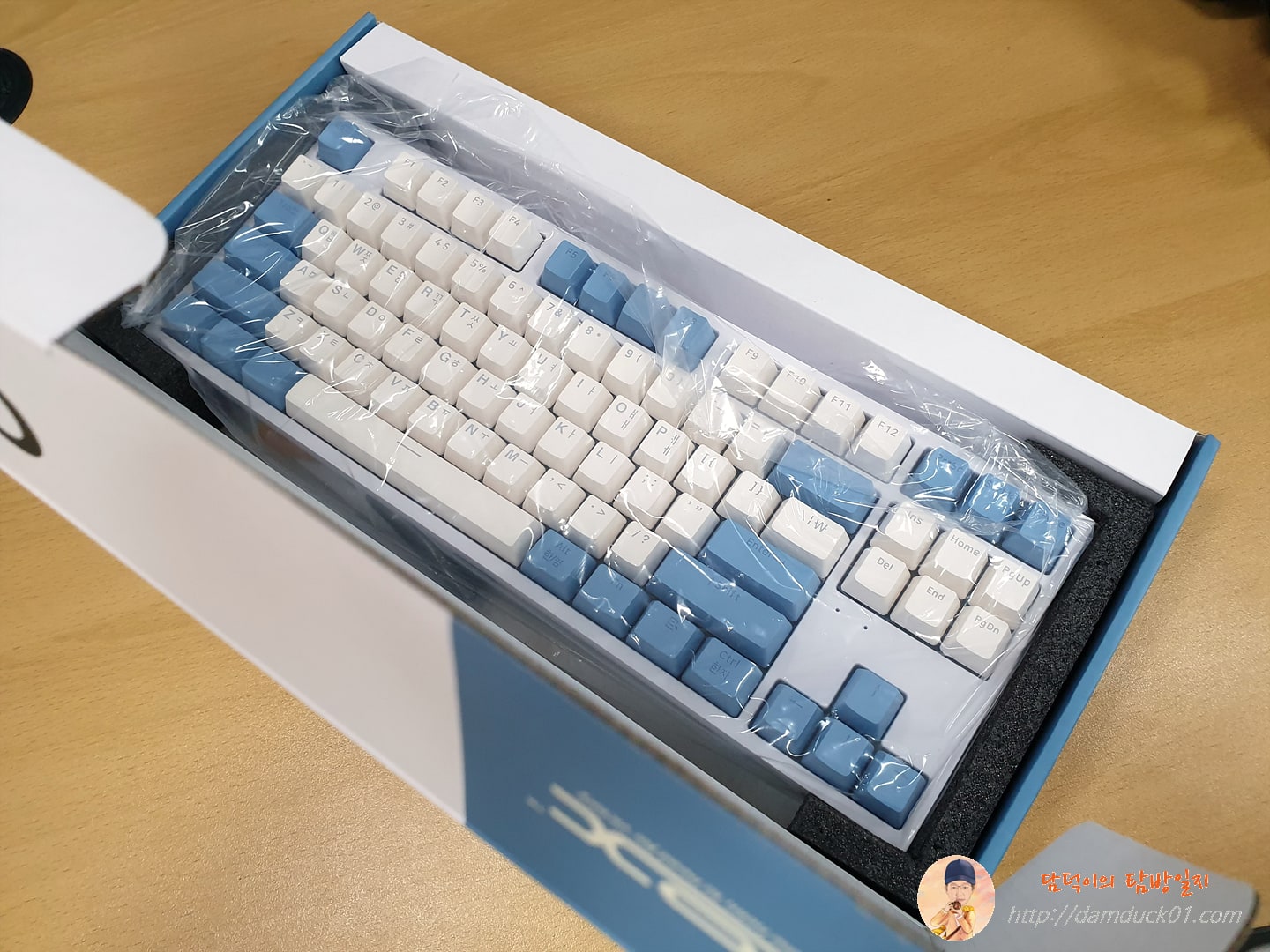 COX CK87 WHITE 크림블루 개봉