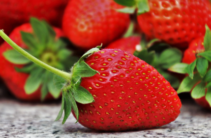 토마토 관련 사진