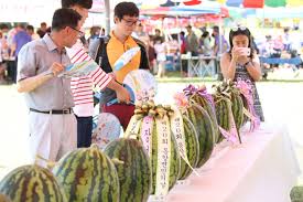 제14회 진안고원 수박축제 기본일정과 프로그램 정리 강혜연 주미 출연