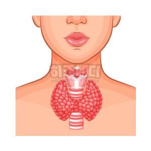 백혈구 수치가 낮은 이유