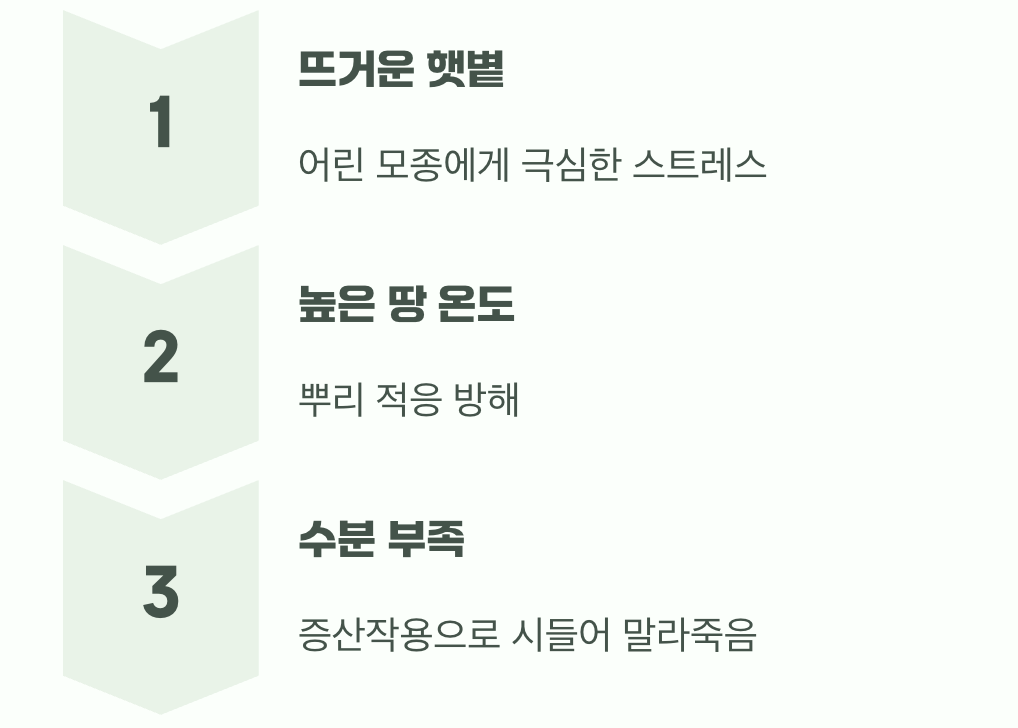 왜 '여름'은 피해야 할까?