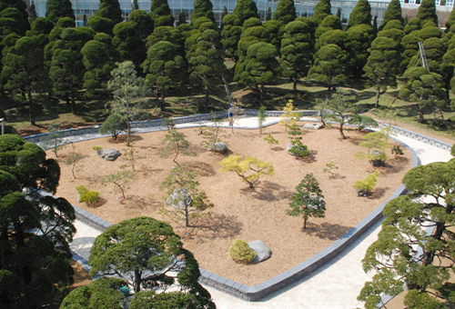 철쭉 명소 세종 가볼만한 곳