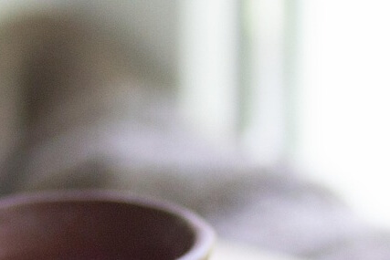 뇌 건강 영양제