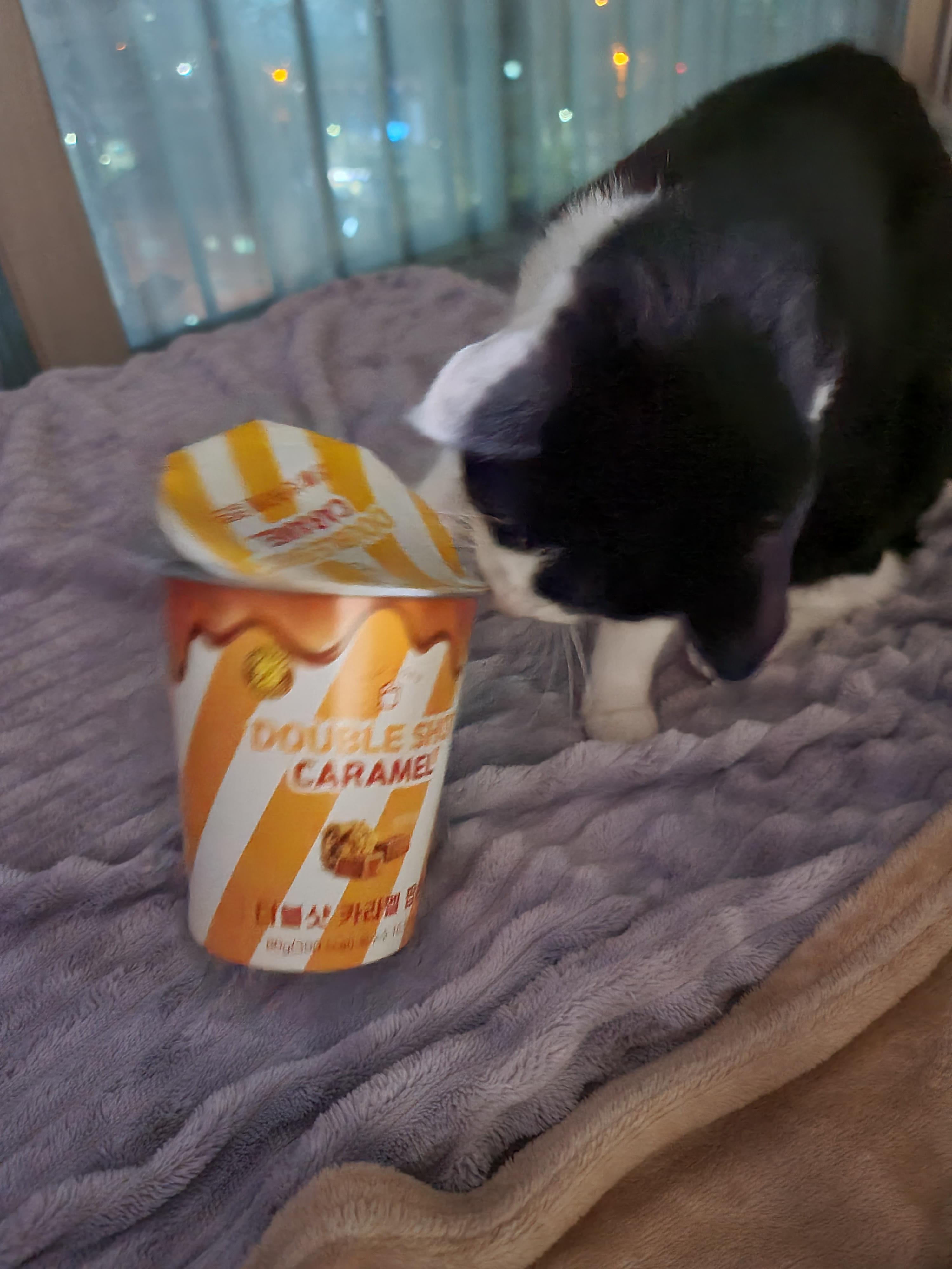 엄마 간식에 관심이 많은 막둥이 라인 ㅋ(딸VS아들 반응)