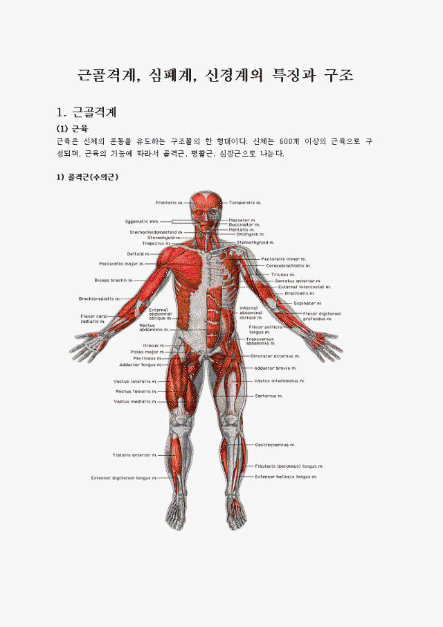 근골격게 원리