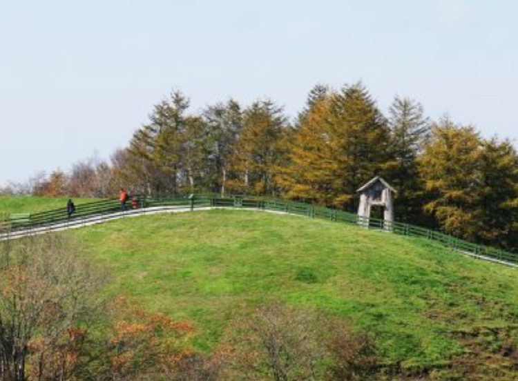 대관령 양떼목장