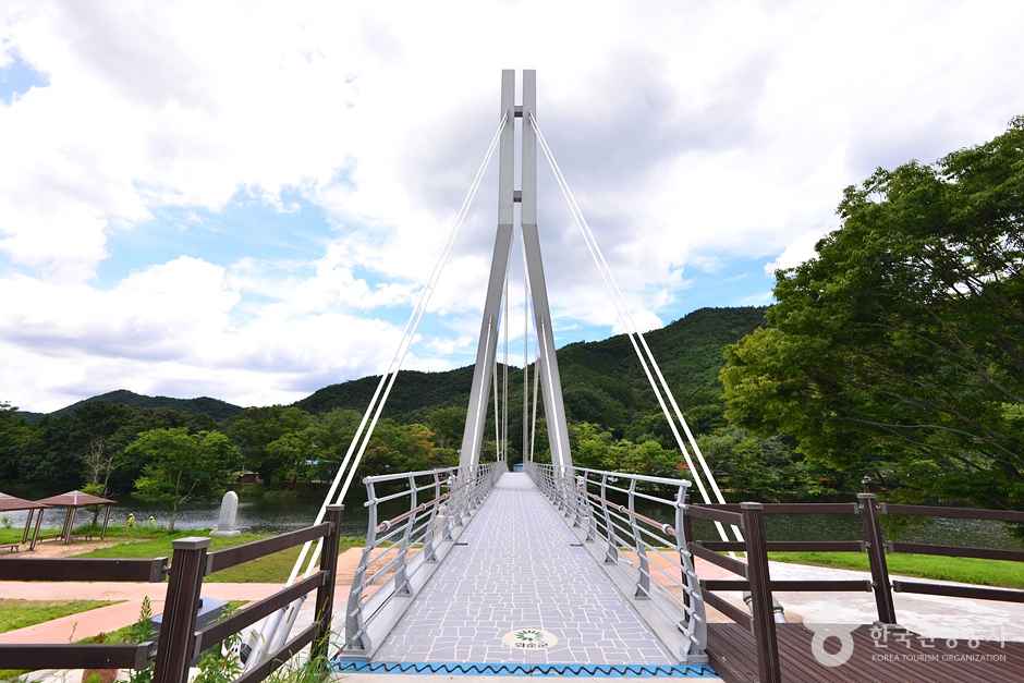 화순 연둔리 숲정이