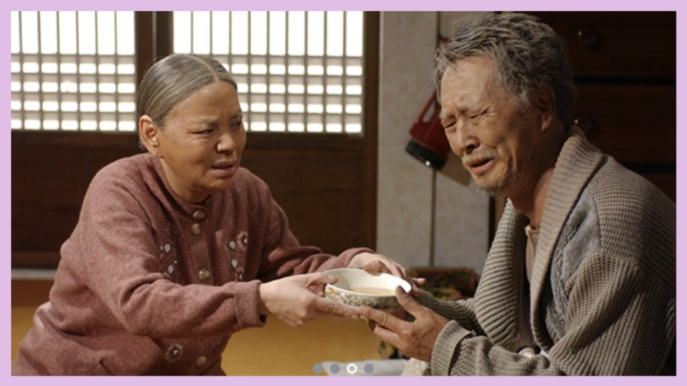 김수미-추모-특집 방송