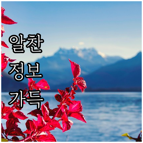 스마트한 상생페이백 가맹점 확인 전략..