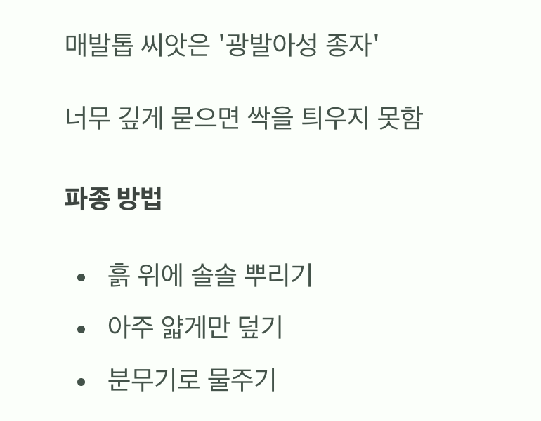 &amp;#39;빛&amp;#39;을 좋아하는 씨앗&amp;#44; 흙은 살짝만!