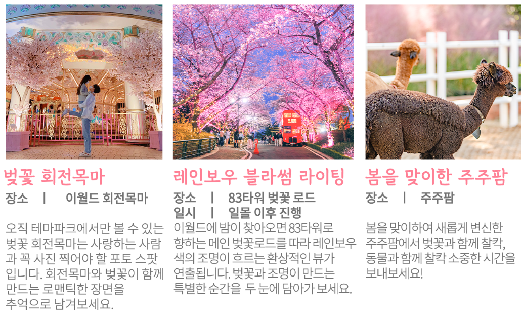 2023년 이월드 블라썸 피크닉 벚꽃 축제 정보 (2023년 벚꽃축제, 지역축제, 3월축제), 83타워, 이월드 벚꽃축제 일정, 추자정보, 요금