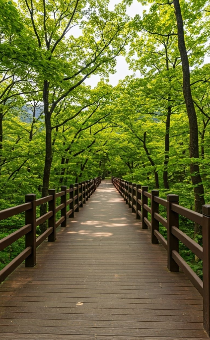 문경새재 여행코스 추천, 문경 가볼만한 곳 BEST 8