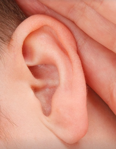 영아 청각장애 및 난청 조기 진단