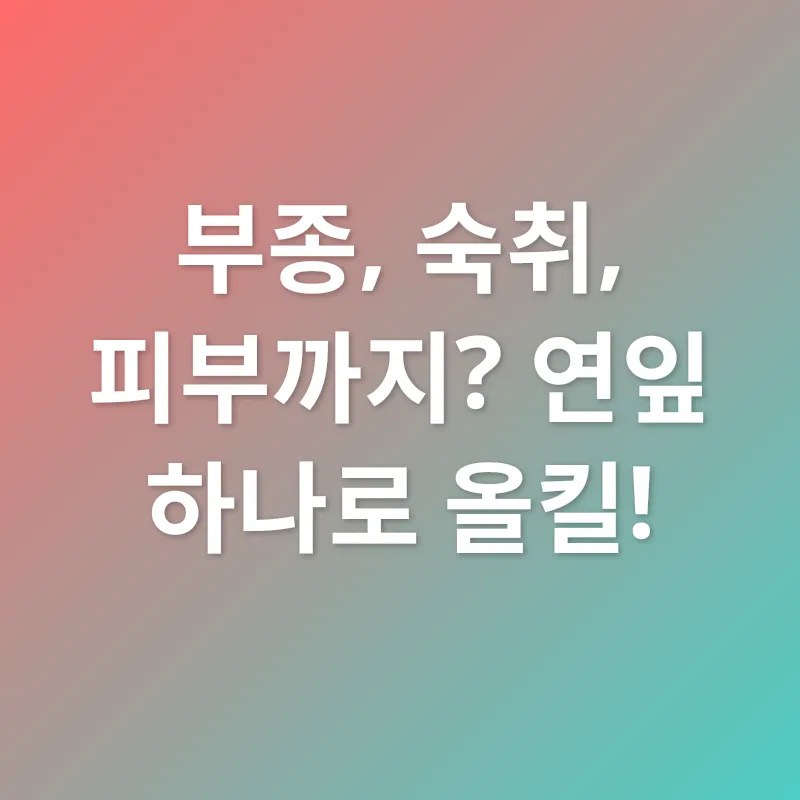 연잎의 놀라운 효능_2
