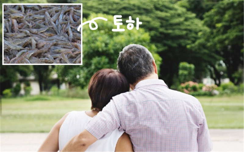 토하와 중장년 이미지