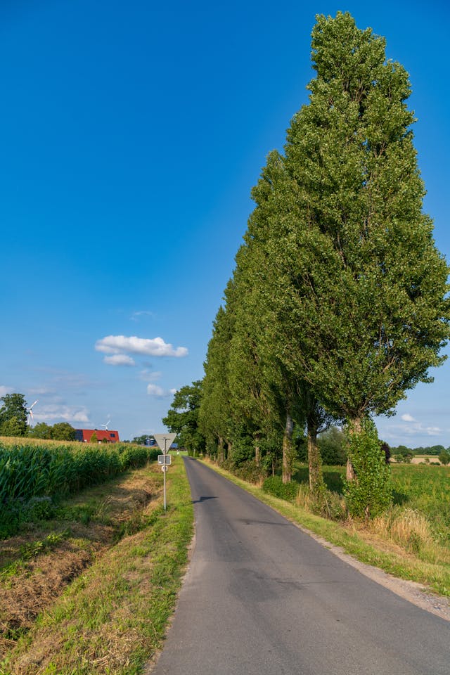 2025년 8월 16일-8월 22일 전국 날씨 예보