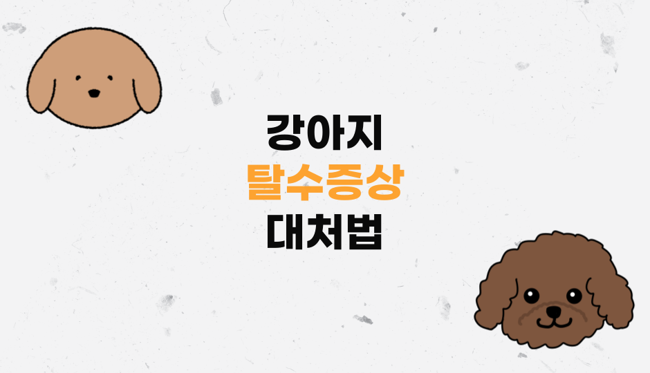강아지탈수증상대처법