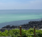 제주도 비행기표 싸게 사는법