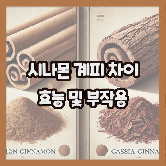 시나몬-계피-차이-효과-부작용