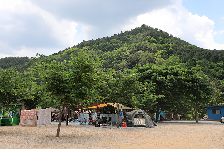 ๊ฐ์๋ ์์ ๋ง๊ฒฝ๋์ฐ ์์ฐํด์๋ฆผ ์บ ํ์ฅ ์ฃผ๋ณ ๋ง์ง ์นดํ ๋งํธ ์ ํต์์ฅ ์ค์ผ์ฅ ํน์ฐ๋ฌผ ์์ธ ๊ฐ์์ง ๋๋ฐ ์ ๋ณด