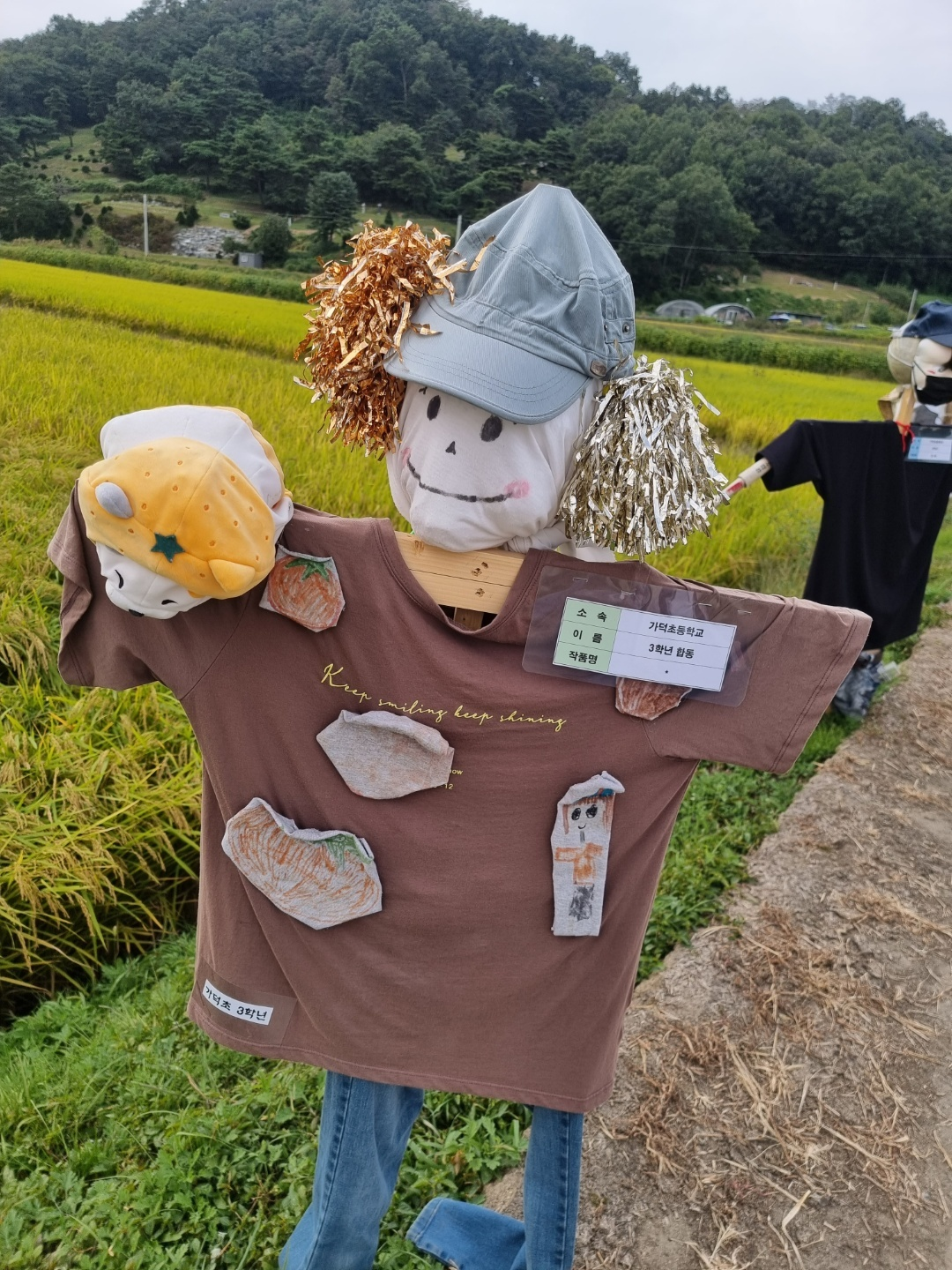 가덕 코스모스 (청주 코스모스길)