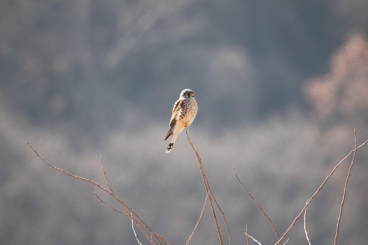 파주 제3땅굴 견학 방법