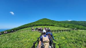 인제 점봉산 곰배령 예약