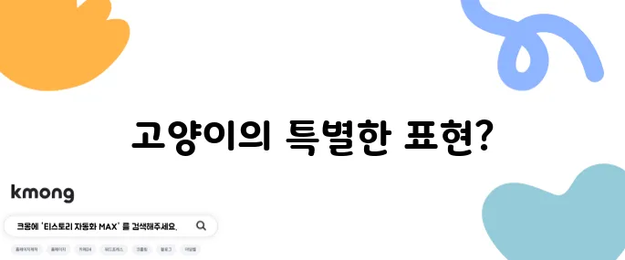 고양이가 부비부비하는 건 무슨 뜻일까?