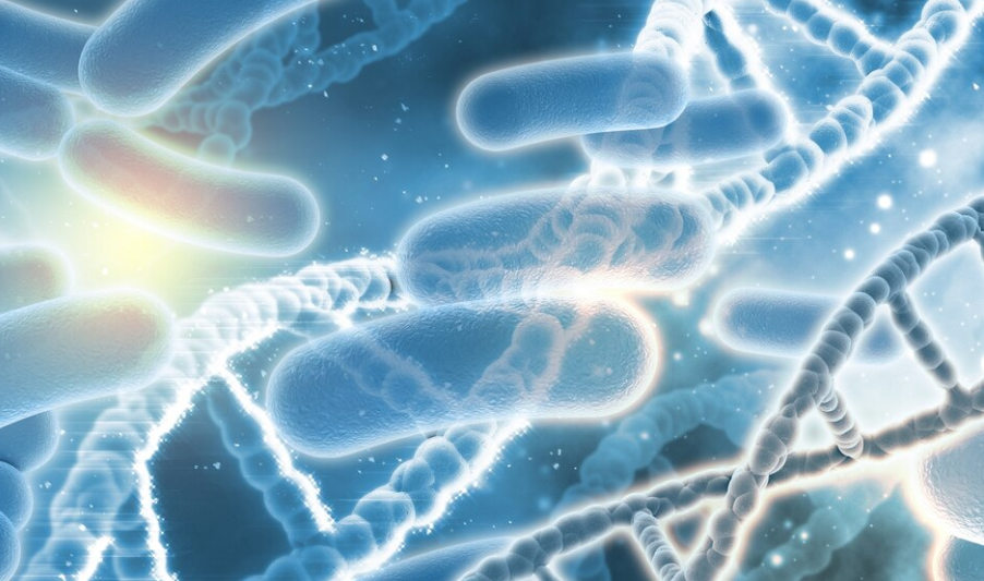 유산균, 몸에 이로울까, 무용지물일까