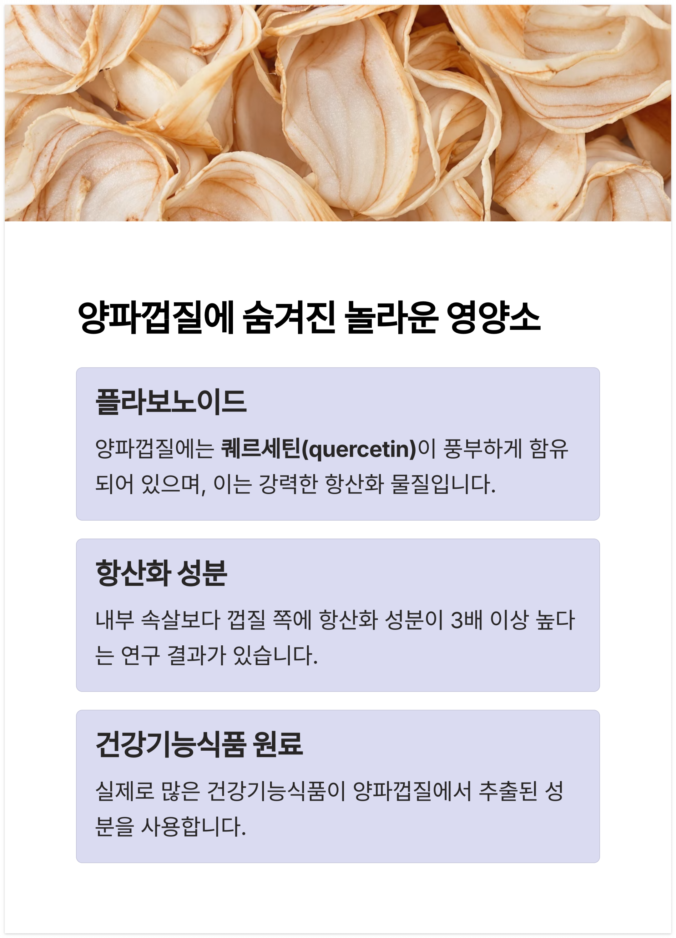 양파껍질의 영양소