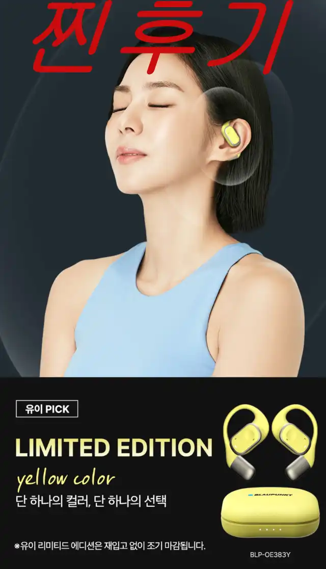 블라우풍트 무선 이어폰 - 찐 후기 (장단점 다 알려 드림!!!) - 100주년 에디션의 특별함