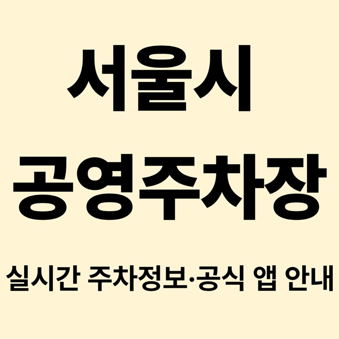 서울시 공영주차장 한눈에 찾기|실시간 주차정보 안내