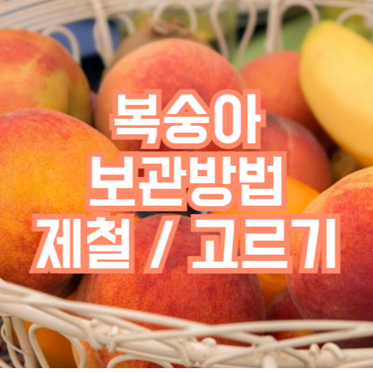 복숭아 보관방법, 언제가 제철!? 칼로리!? 고르는법!?