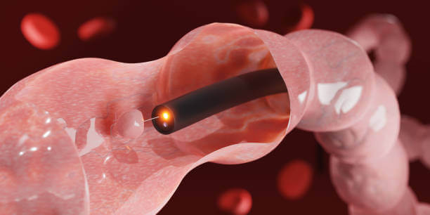 무료 국가 건강검진 대상자 조회 (6대 암검진 대상자)