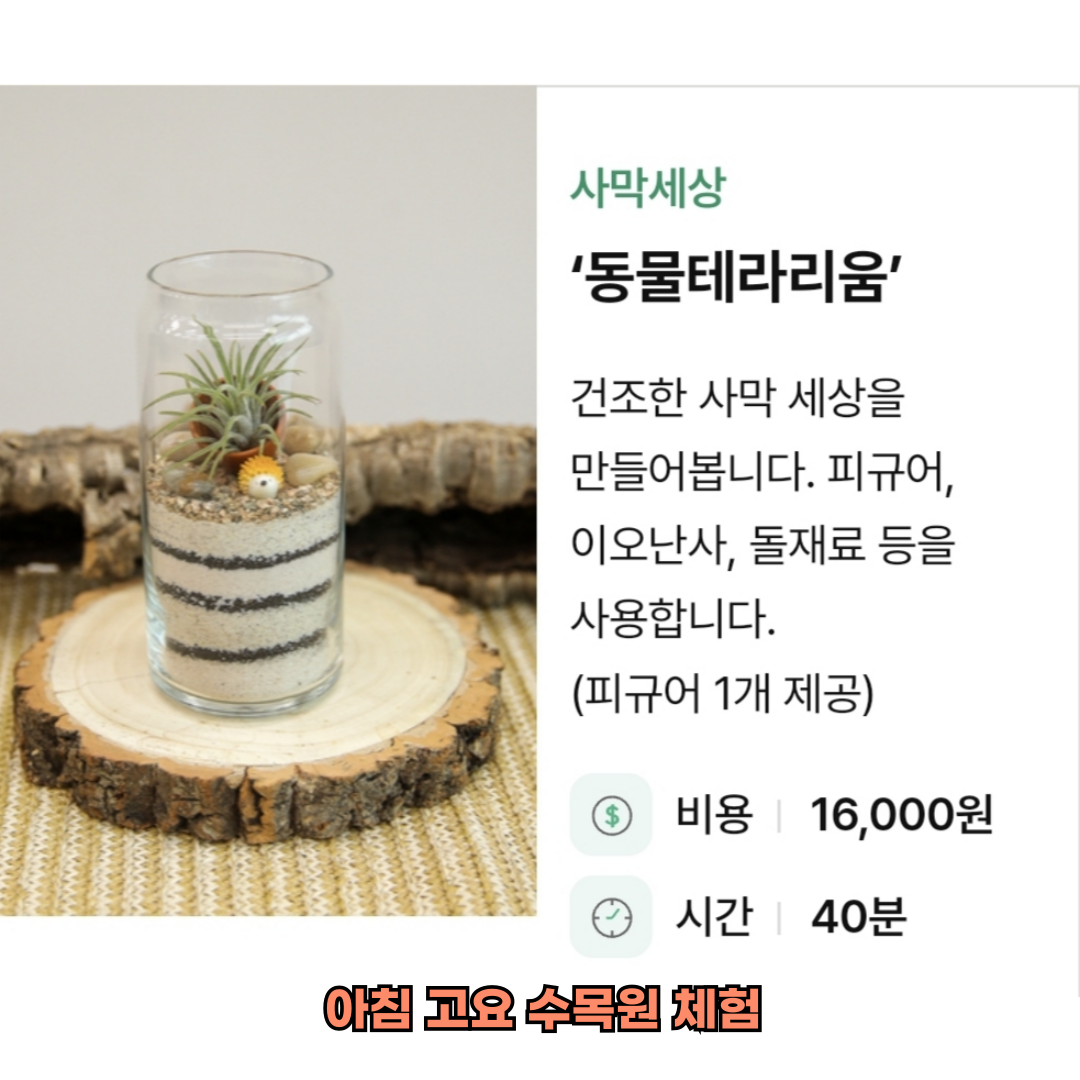 아침고요수목원 체험