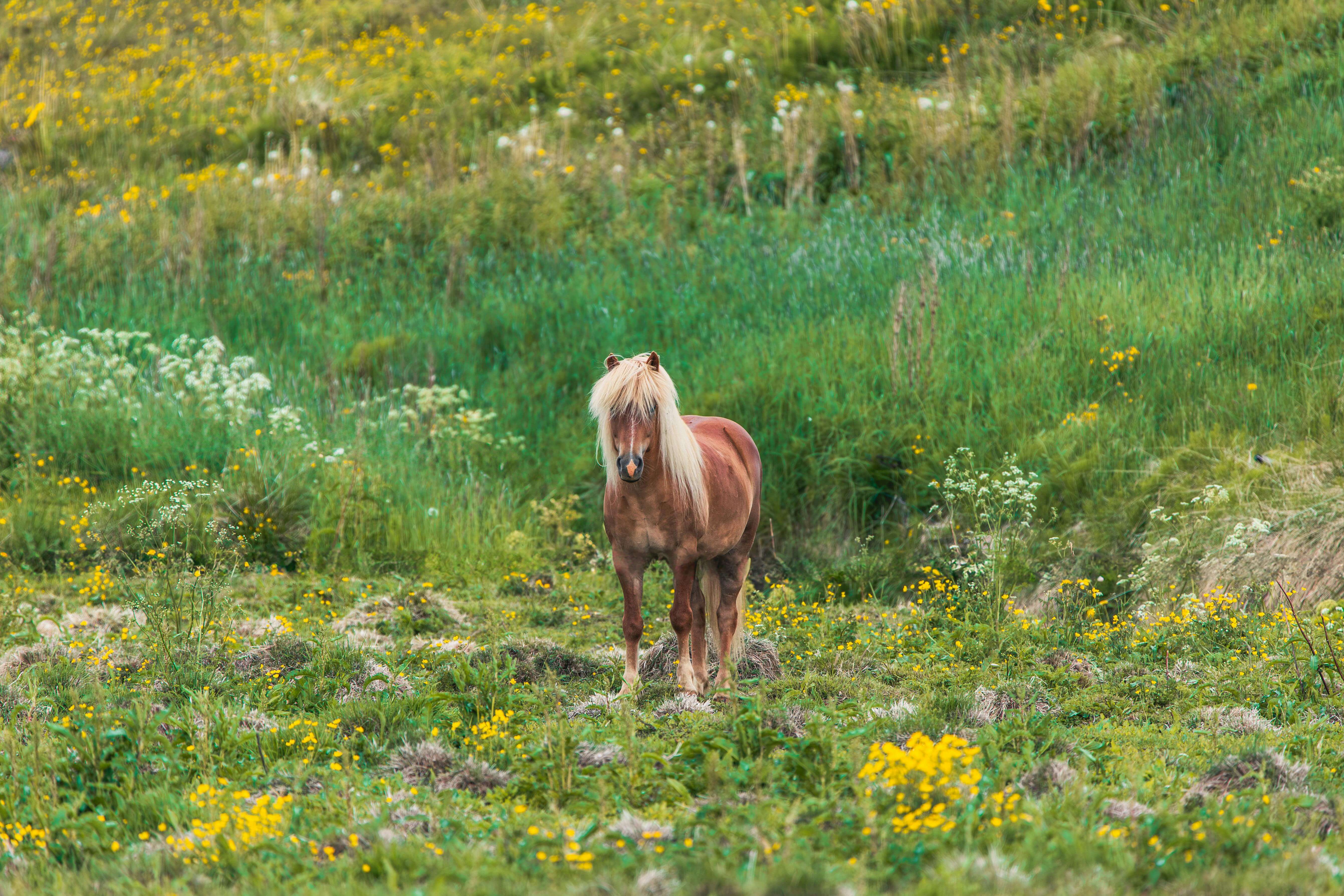 자녀장려금 자격조회24