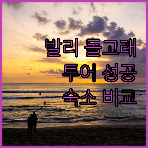 성공적인 발리 돌고래 투어 팁과 짐바..