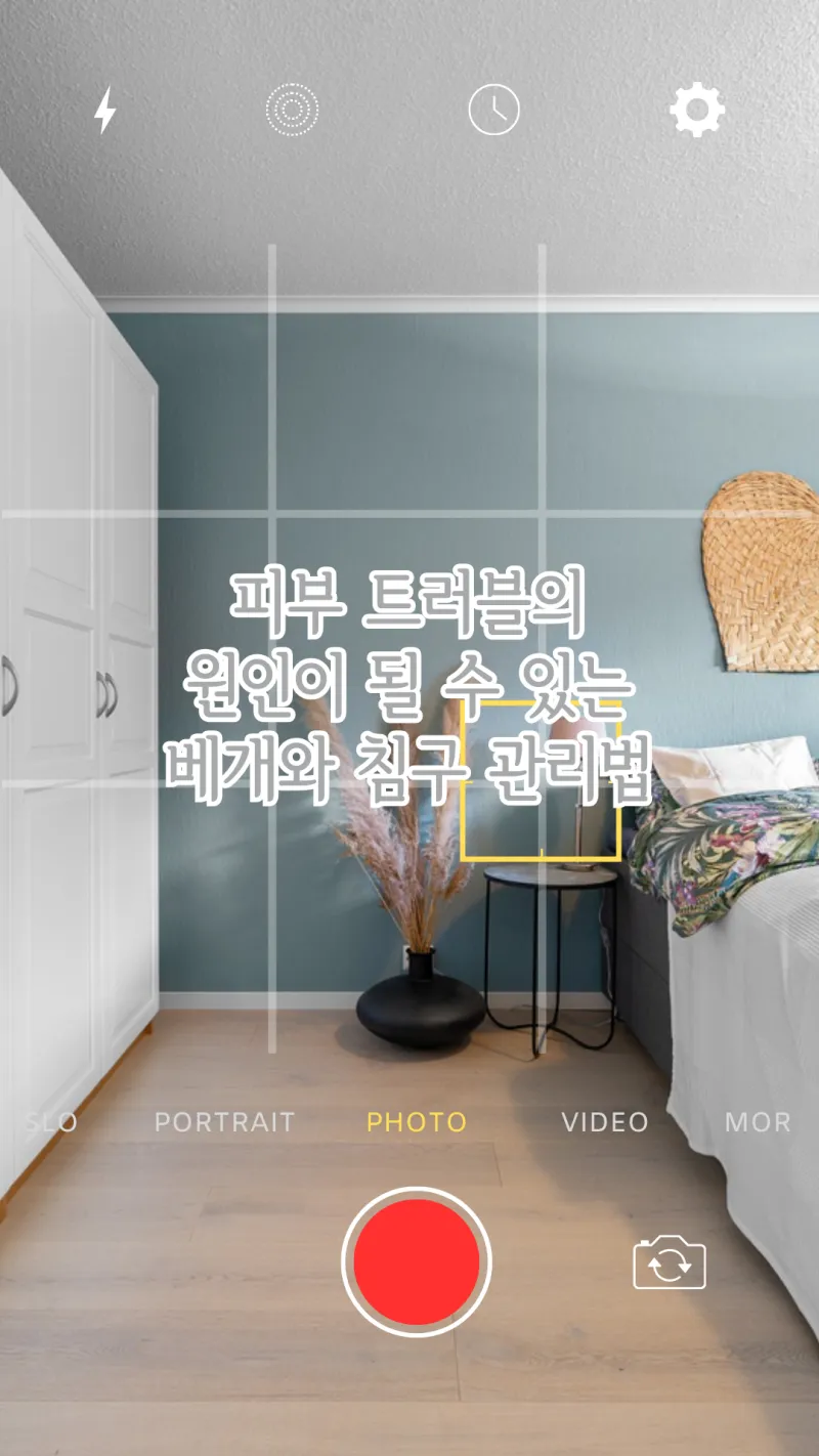 베게와 침구 관리법