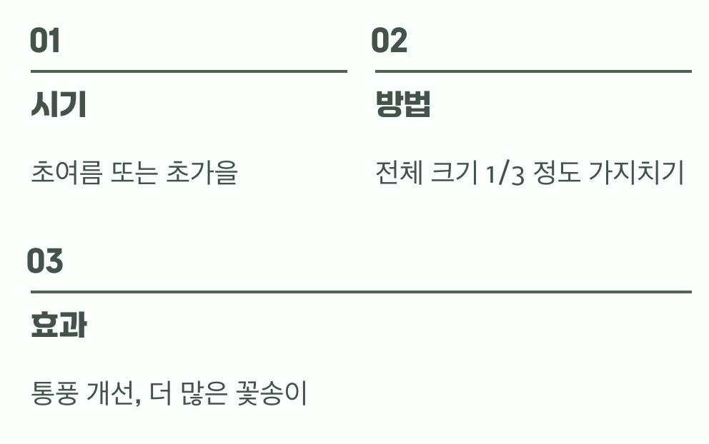 다음 대관식을 위한 준비, 가지치기