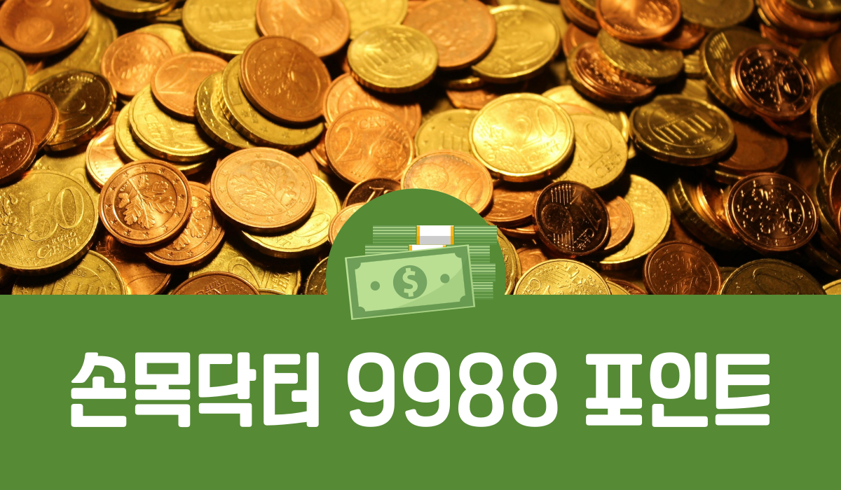 손목닥터 9988 포인트