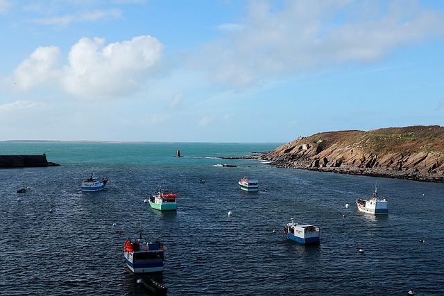 서해 오천항 선단 정보