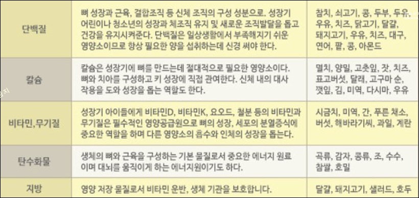키 크는 음식, 영양분