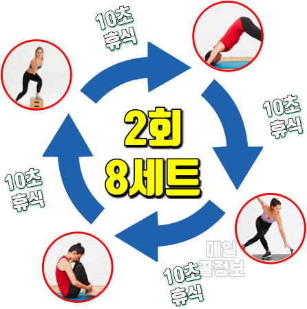 타바타 운동 4분운동,1시간 다이어트,간헐적운동법