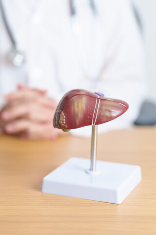 담낭결석 증상, 원인, 치료방법 총정리