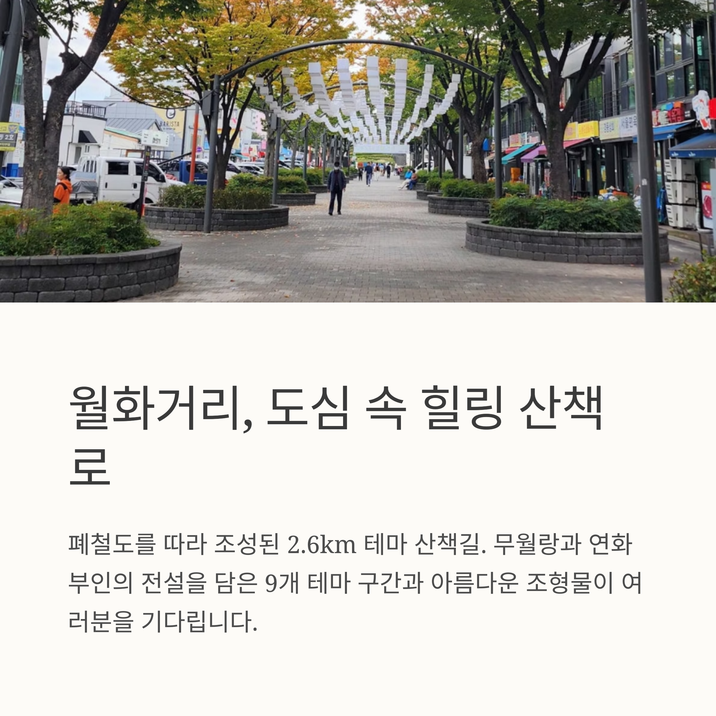 월화거리, 도심 속 힐링 산책로