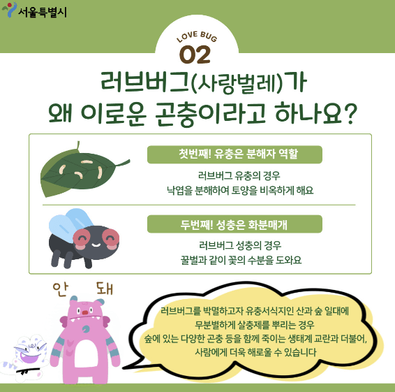 러브버그 방역방법 관련사진3