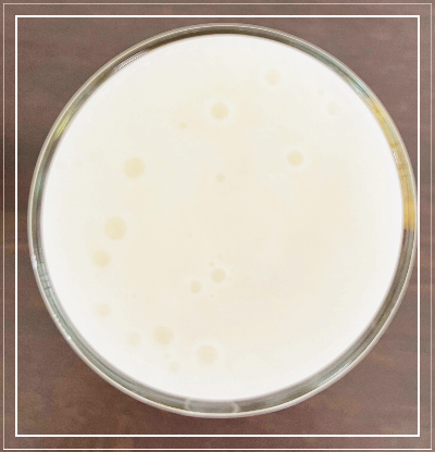 길디 오리지널 리투아니아 맥주