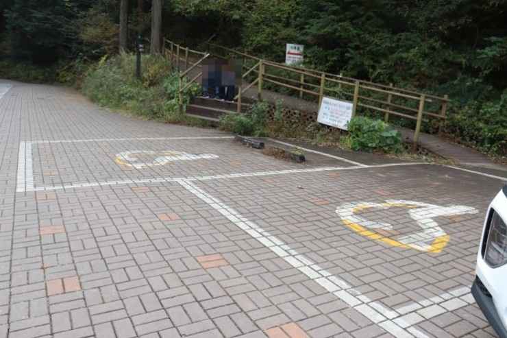 통영 미래사 편백나무숲 주차장