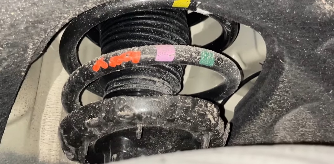 카니발 하이브리드