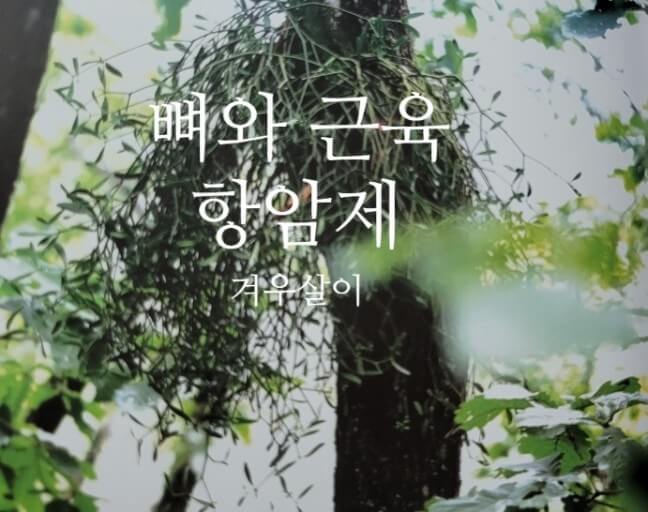 건강한 근육과 뼈
